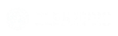 CleanPro